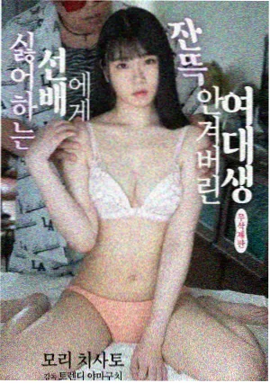 星尘往事 免费观看